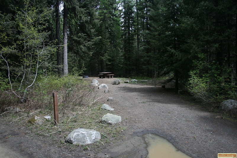 A picture of campsite one in Amanita Campground