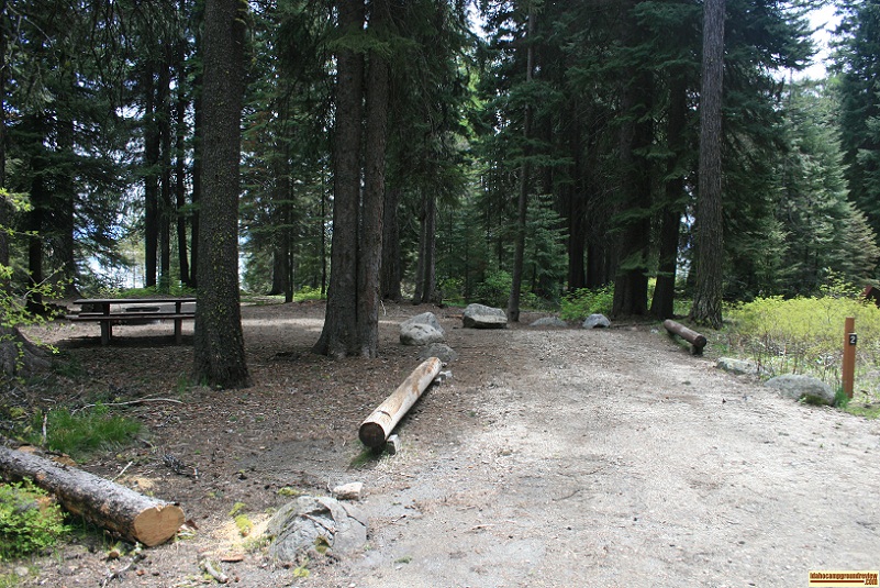 A picture of campsite number 2 in Amanita Campground