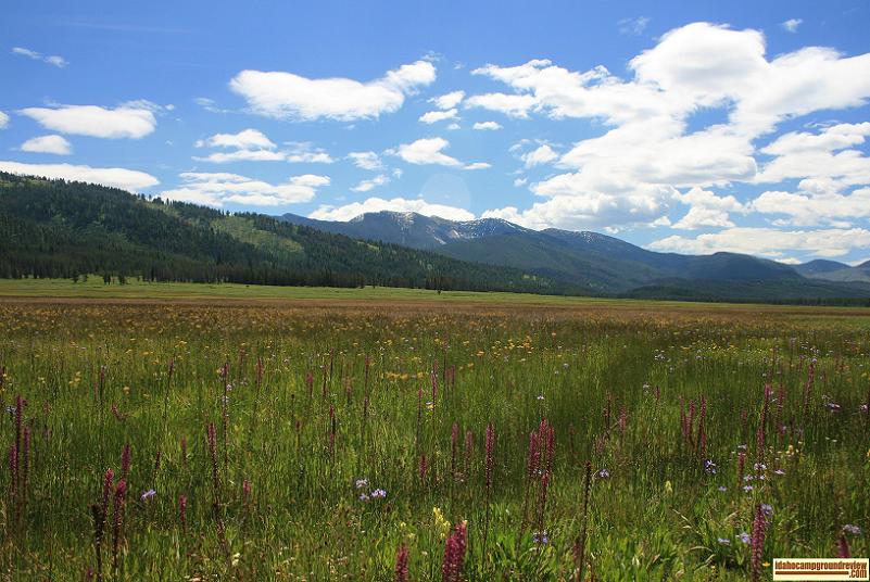 This is a view of parts of the meadows in Bear Valley about 4 miles from Bear Valley Campground.