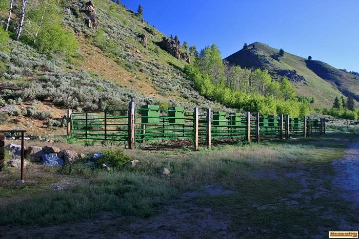 This picture is of the corrals at Canyon Creek Transfer Camp on Big Smokey Creek.