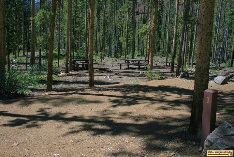 Double site in Custer #1 Campground on the Yankee Fork of the Salmon River.