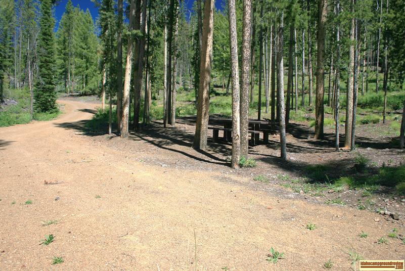 Typical site in Custer #1 Campground on the Yankee Fork of the Salmon River.