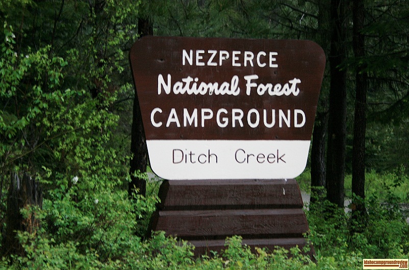 Ditch Creek Campground near Elk City, Idaho.