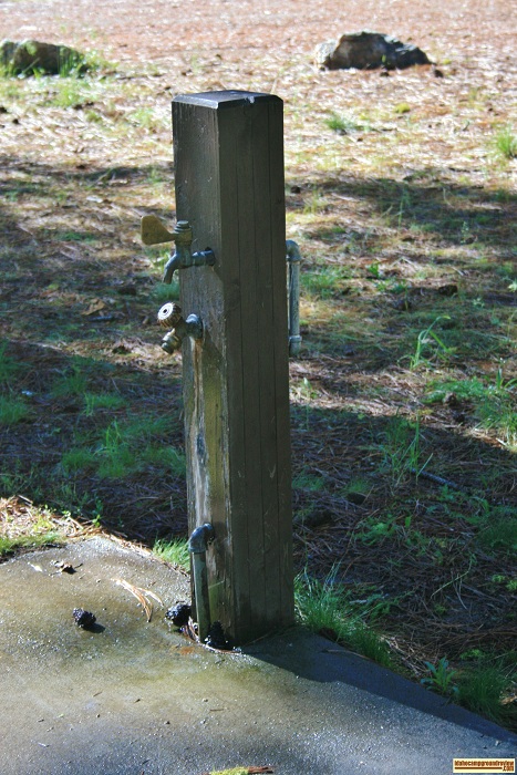 Water is available in Dog Creek Campground through a pressurizes system.