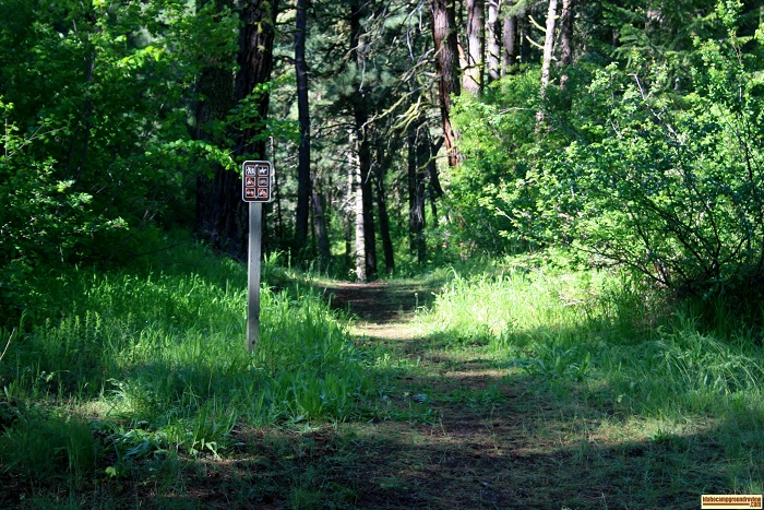 Dog Creek Campground trail, for those who love camping in Idaho.