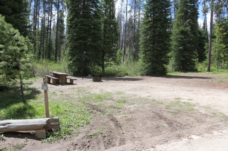 Edna Creek Campsite #3 has the space to squeeze in an extra vehicle if they will let you...