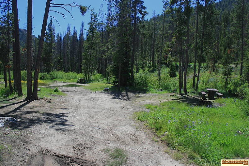 View of Eightmile Campground  on the Yankee Fork of the Salmon River NE of Stanley, Idaho.