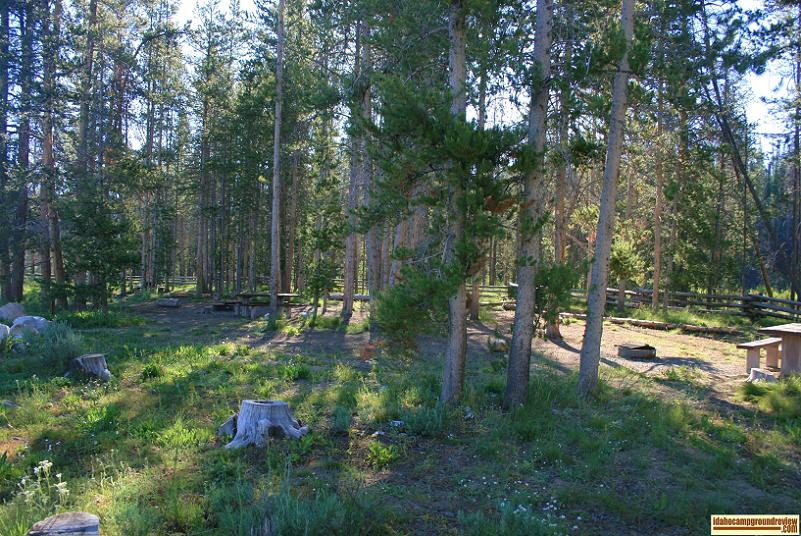 RV camping site in Elk Creek Campground near Stanley, Idaho