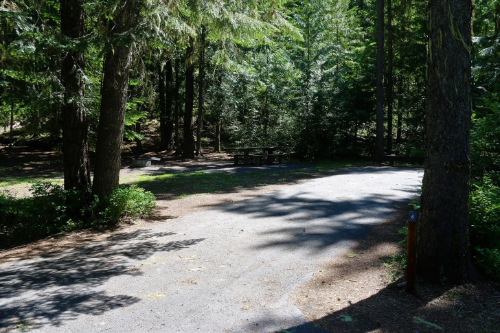A picture of campsite number 6 in Giant White Pine Campground.