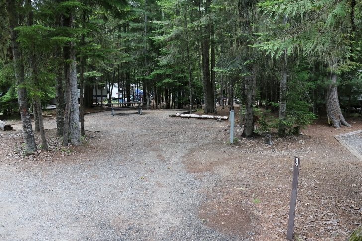 Campsite 9 in Indian Creek Campground.