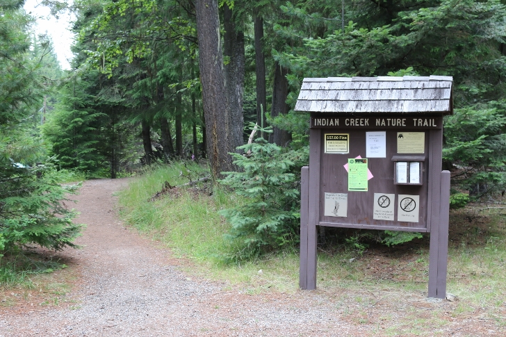You will find the entrance to Indian Creek Nature Trail near the picnic area.
