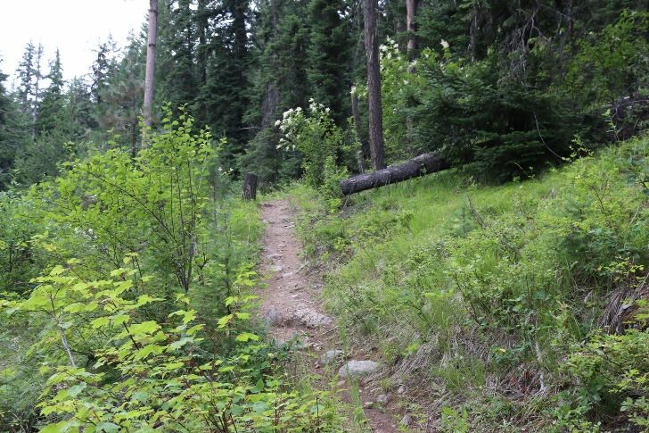 This is the trail as it climbs above the road.
