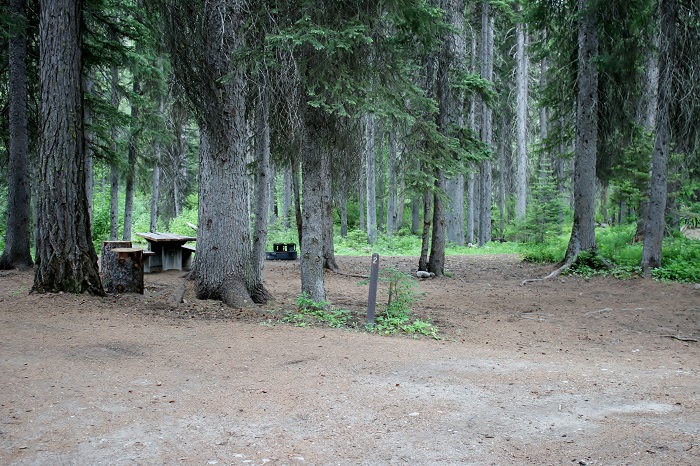 Lake Fork Campground site.