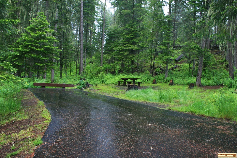 typical site in little boulder creek campground