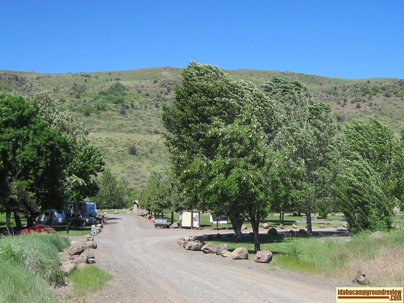 View of Manns Creek  Campground