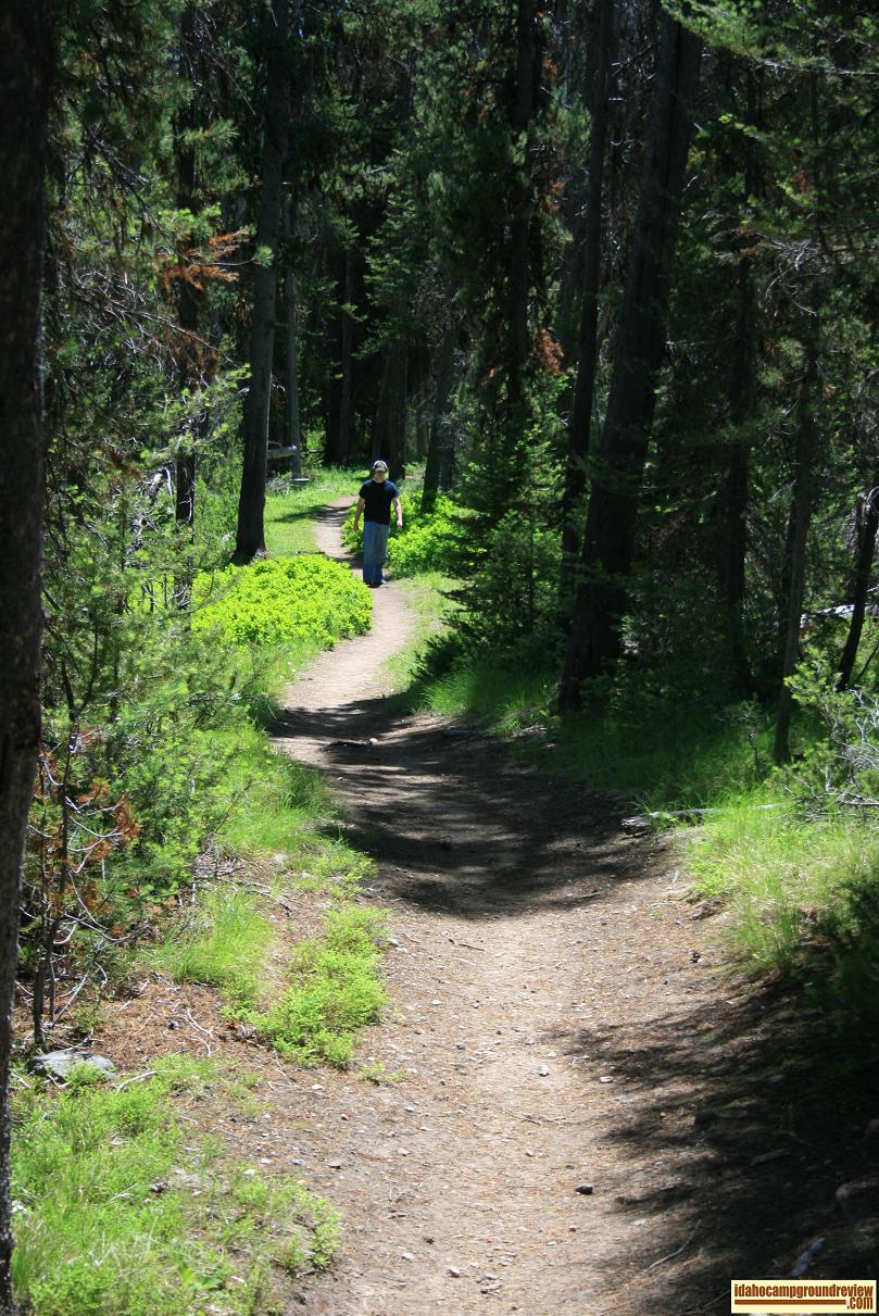 This trail leads down to Marsh Creek and on into the Frank Church River of No Return Wilderness Area.