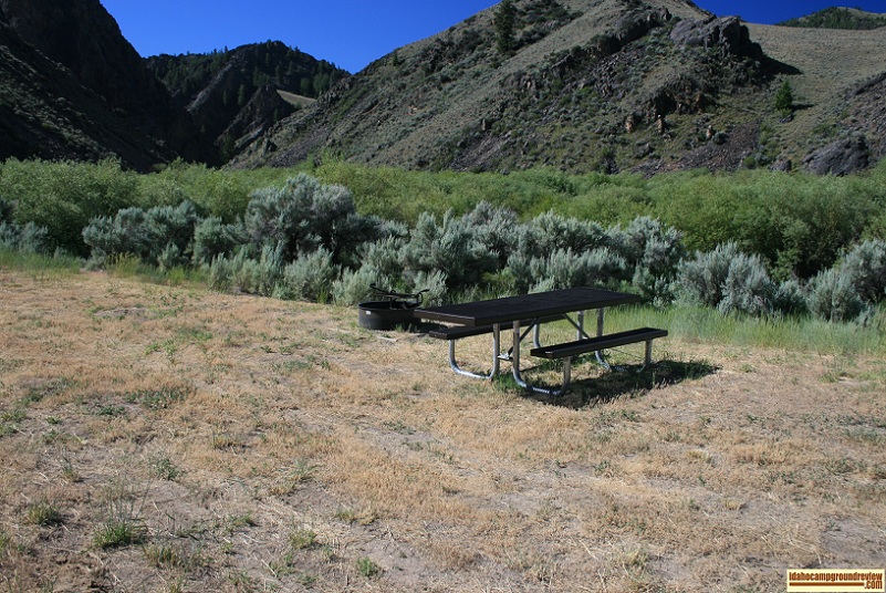This is a view of 1 of the 4 sites in Morgan Creek Recreation Site and view of nearby mountains.