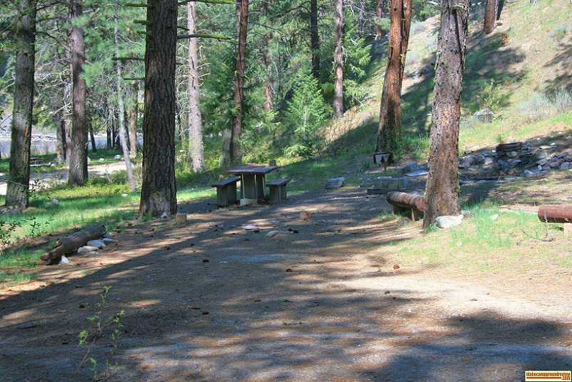 neinmeyer forest camp