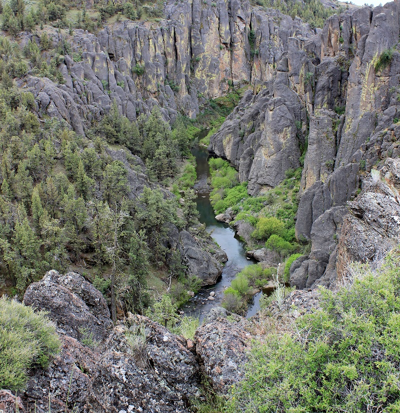 North Fork Recreation Site on the North Fork of the Owyhee River.