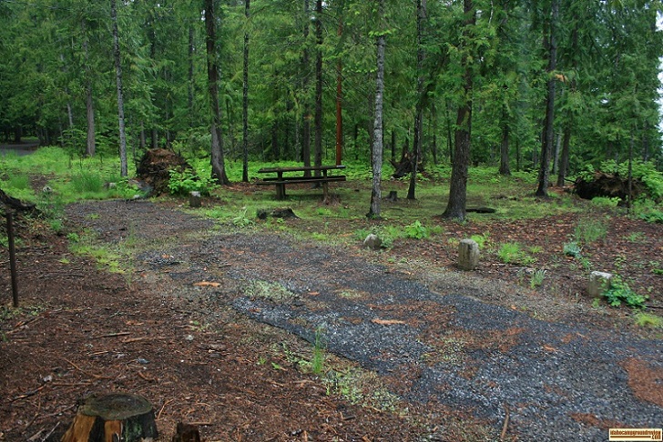 Outlet Campground on Priest Lake