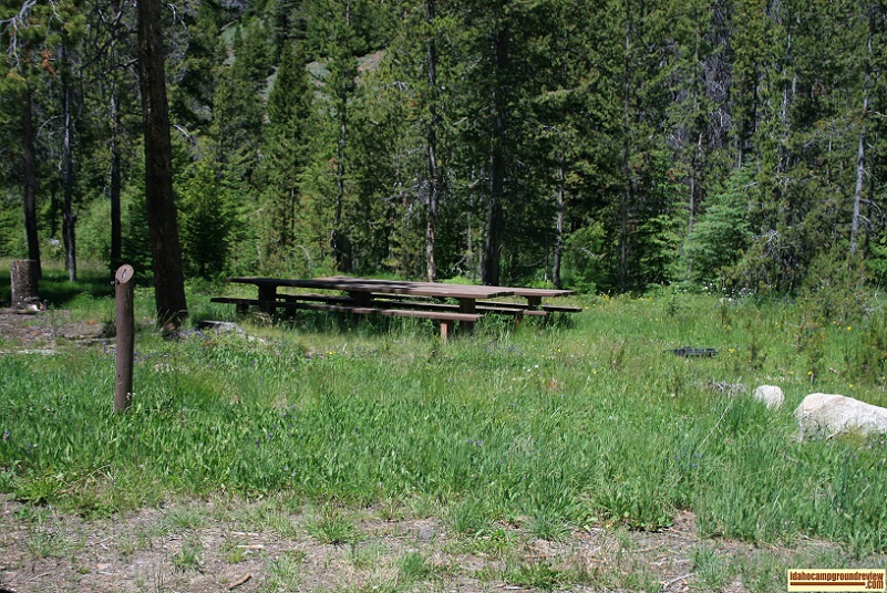 This is Camp Site #1 which is a group site in Park Creek Campground in the Pioneer Mountains of Idaho.