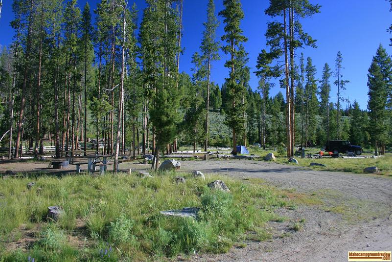 This is a view of several camp sites in Pettit Lake Campground.