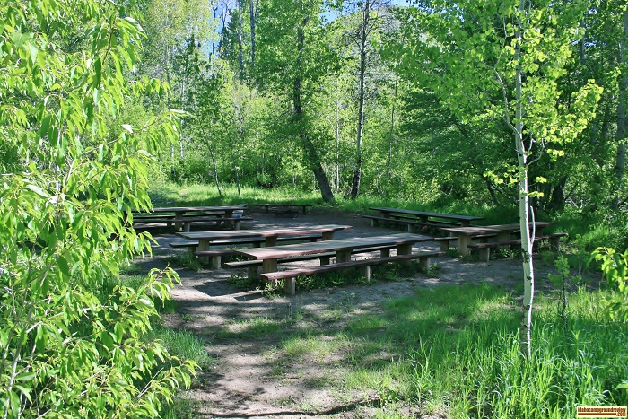 Campsite #5 at Pioneer Campground has several picnic tables and an extra large fire ring.