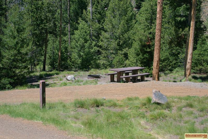 Camping site in Pole Flat Campground on the Yankee Fork of the Salmon River the elevation is about 6100 feet.