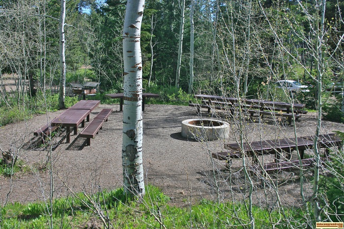 This is a view of the Fire Pit / picnic area in Loop "C".