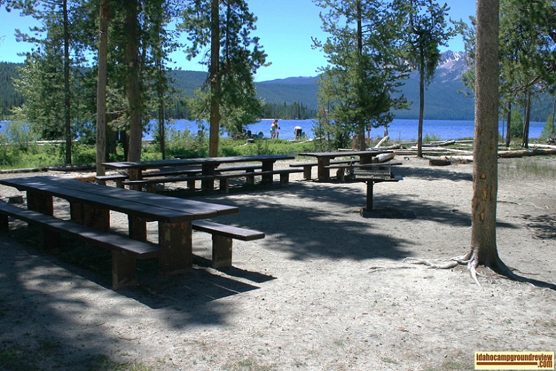 North Shore has picnic sites A, B and C. This is site B. 
It is half the size of A.