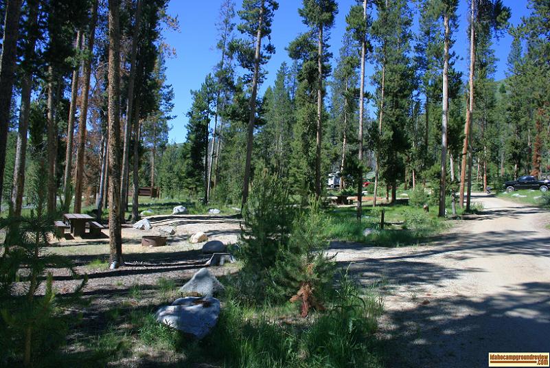 This is typical of camp sites on the up hill side of Riverside Campground NE of Stanley, Idaho.