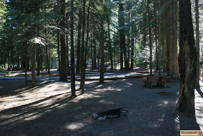 RV camp site in sagehen creek campground