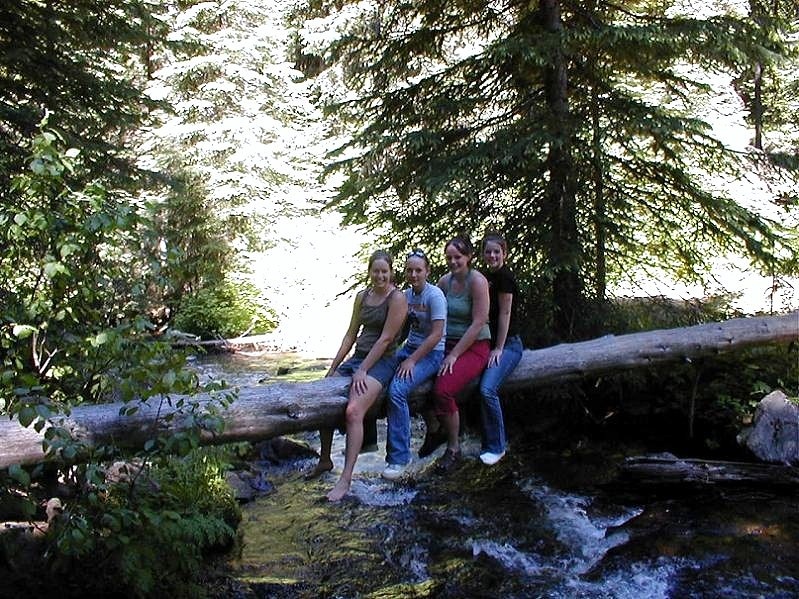 picture of four friends on a log over sagehen creek near sagehen creek campground