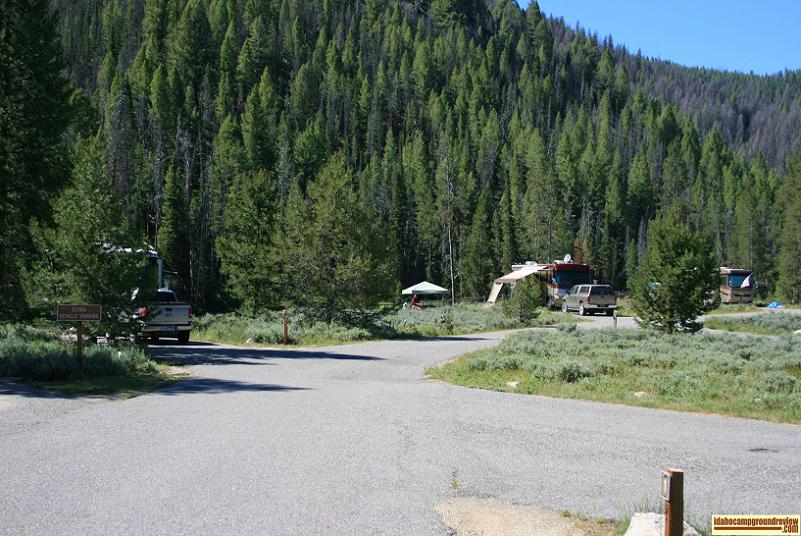 This is a view of some of the camp sites in Salmon River Campground NE of Stanley, Idaho.