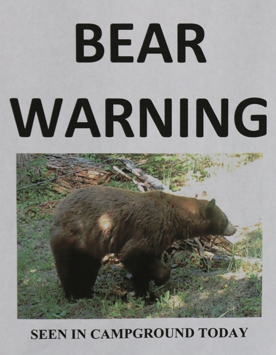 There was a bear near the campground about 2 weeks before we came but it had moved on.