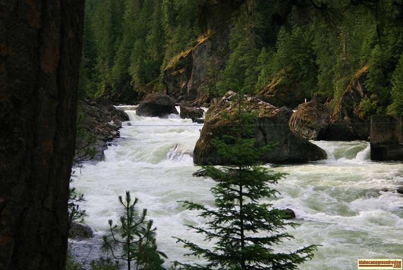 View of Selway Falls, where the Native Americans still fish as the Salmon pause in their journey to their spawning grounds.