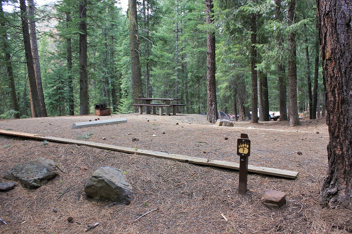 Spring Creek Campground near Hitt Mountain.