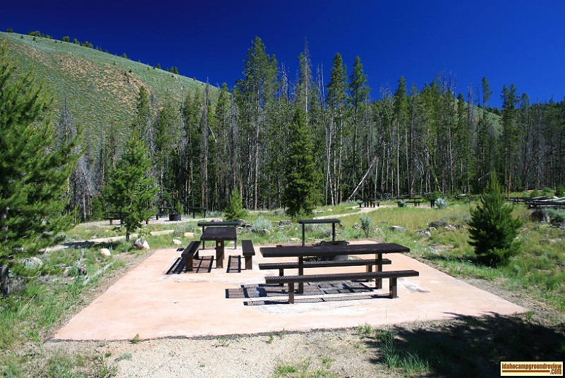 Sunny Gulch Campground on the Salmon River servers as overflow for the Redfish Lake area campgrounds.