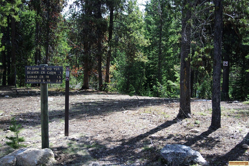 The trail at Whoop-um-up Campground leads to Pilgrim trail.