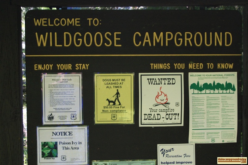 Wild Goose Campground or the Middle Fork of the Clearwater River