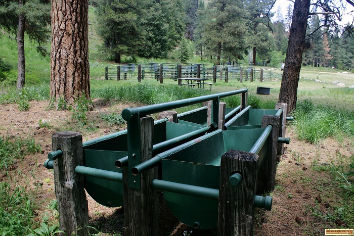 Willow Creek Transfer Camp corrals and feed bunks