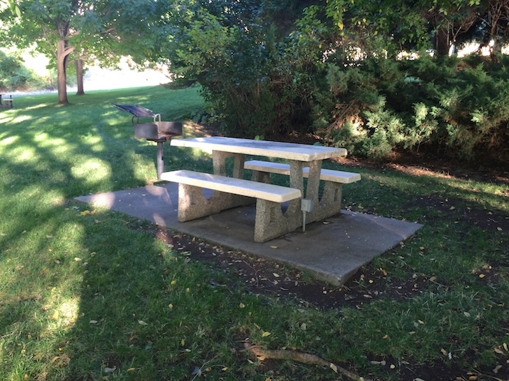 A picture of a picnic site in the day use area of Woodhead Park. Notice the barbecue stand and power outlet.