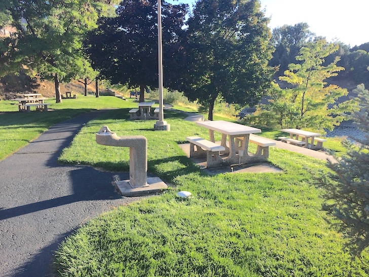 A picture of the picnic area near the boat launch in Woodhead Park.