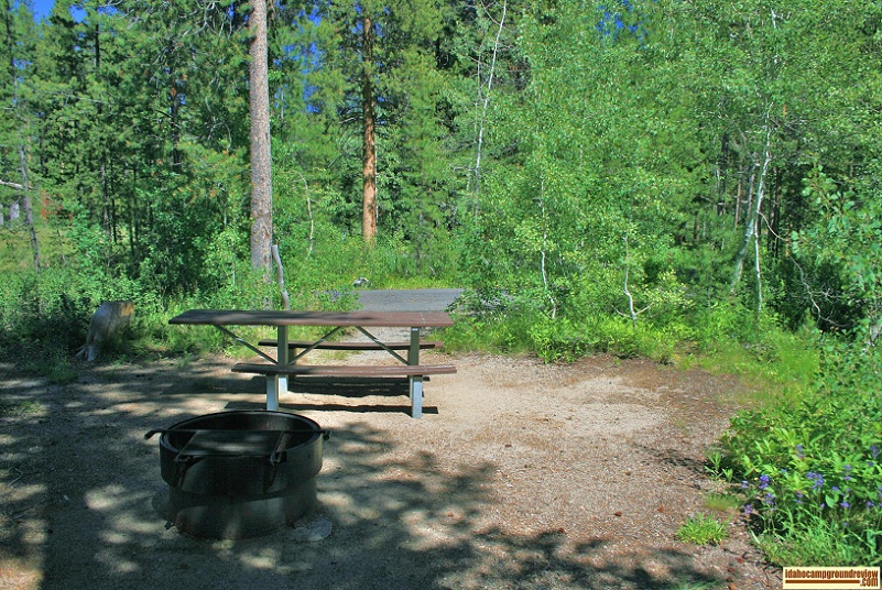 another RV camping site in Wood  River Campground.