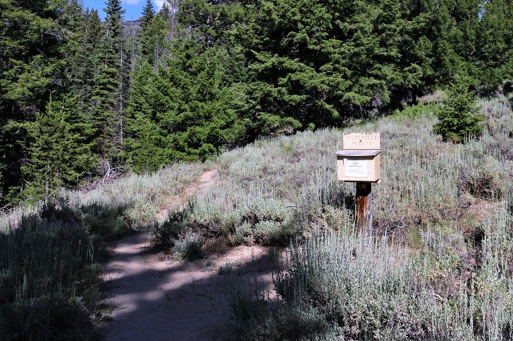 This is a picture of the trail from Stanley Lake Trailhead to where it connects to the Idaho Centennial Trail on Stanley Lake Creek.