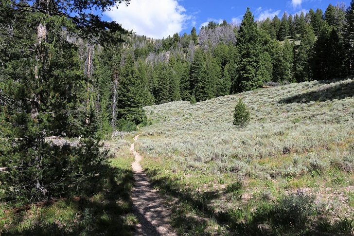 A picture of Cabin Creek Trail.