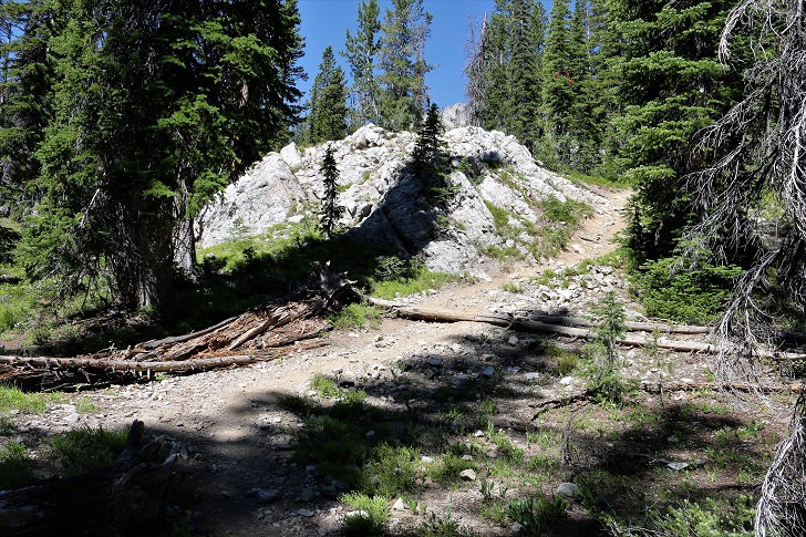 A picture of Cabin Creek Trail in one of the steeper spots near the main lake.