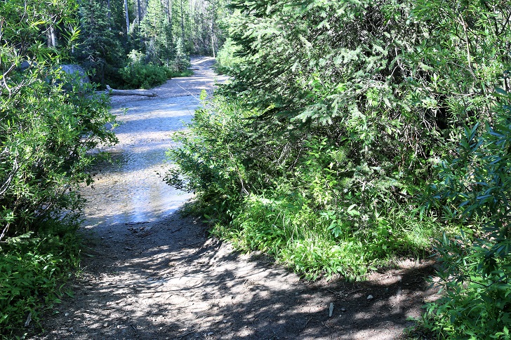 A picture of the ford of Stanley Lake Creek.