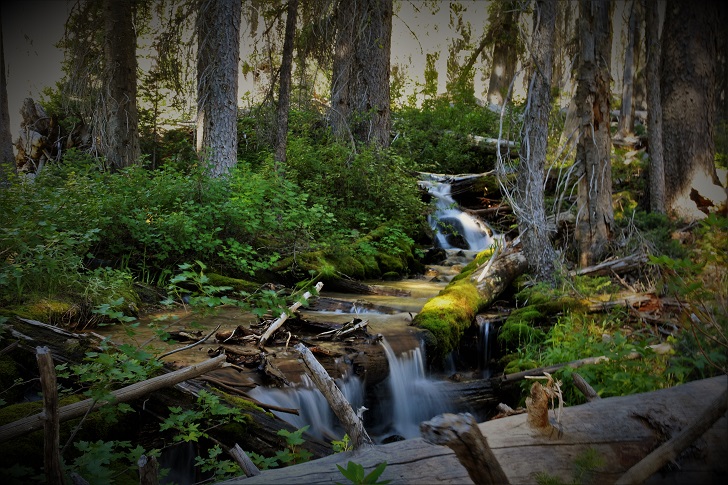 A picture of an unnamed tributary of Stanley Lake Creek.