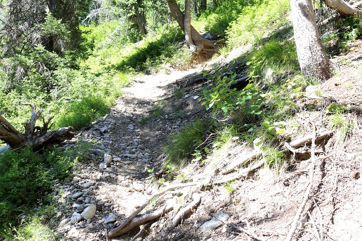 The trail up on the north side of Bridal Veil Falls.